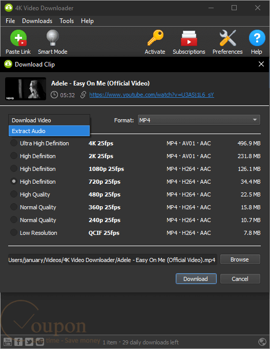 4K Video Downloader Plus Pro screenshot 2